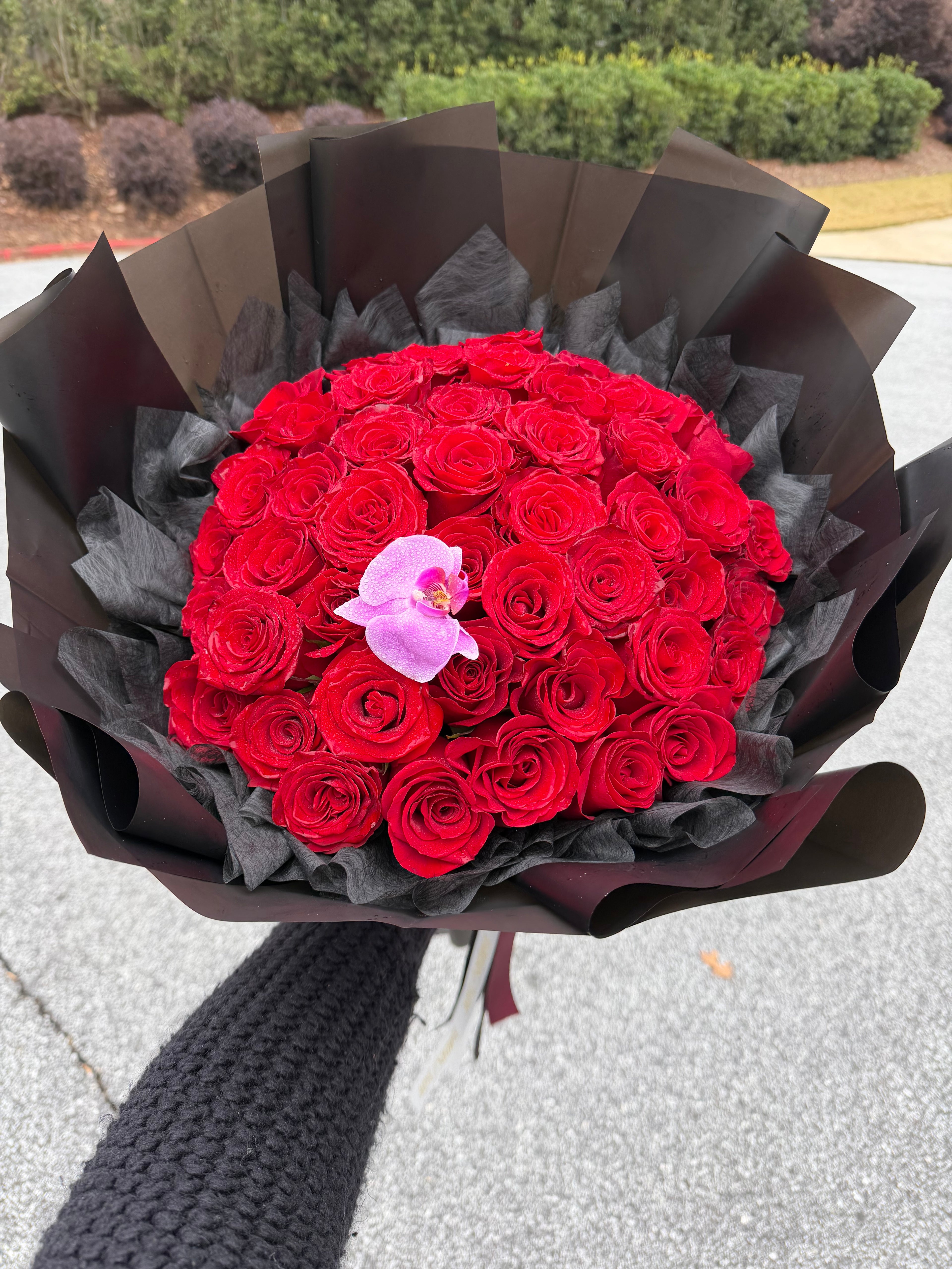 50 Long Stem Roses - Wrapped Bouquet